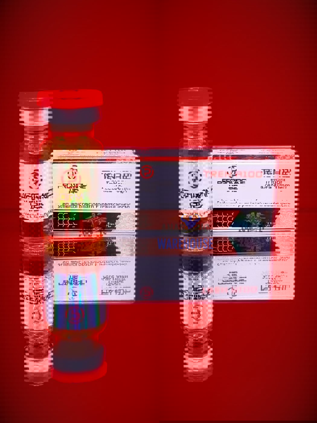 PL - Tren A 100 (Fast)